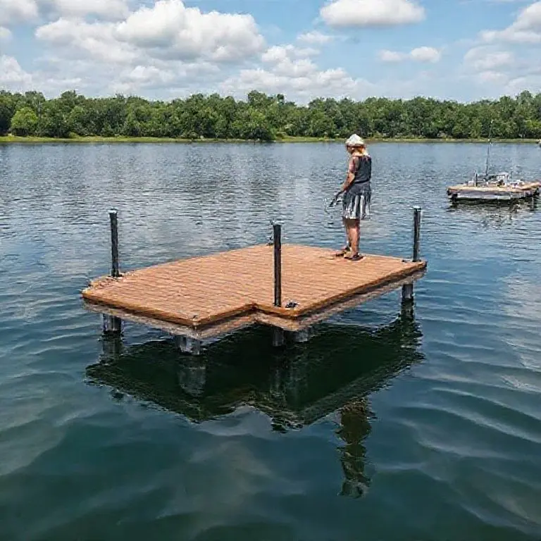 3.レディースドック活用の明暗：実際適用事例と潜在的問題点