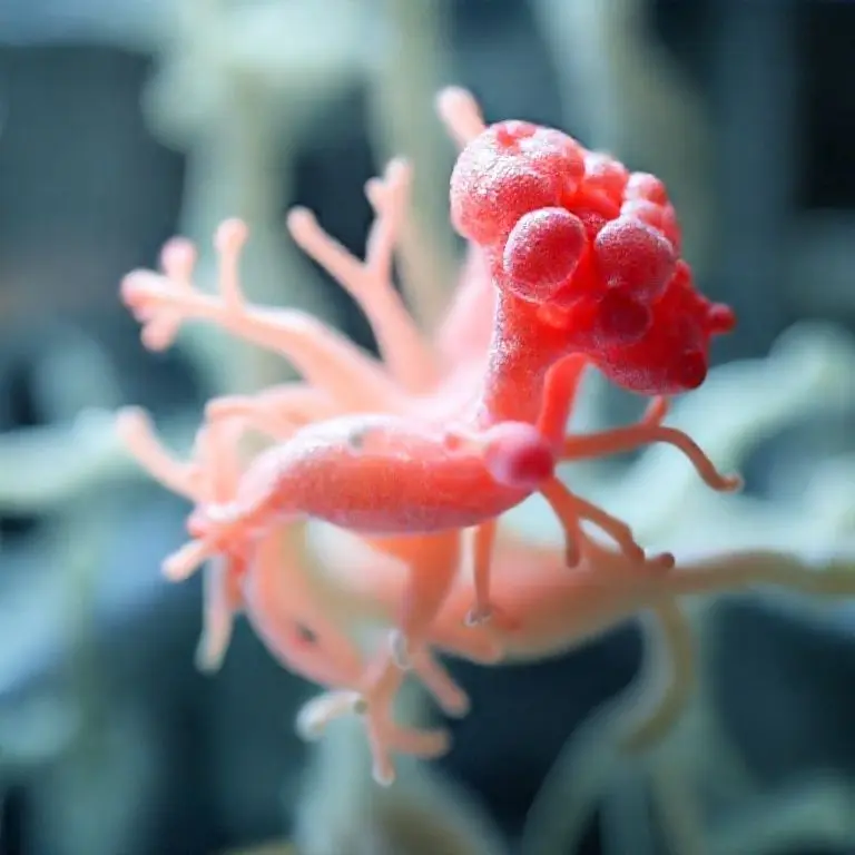 結論：最終要約及び3Dバイオプリンティングの未来方向性提示